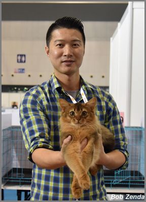 Bas-Brrau Char of Kitties Land